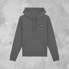 Load image into Gallery viewer, Embroidered Palestine Flag Hoodie
